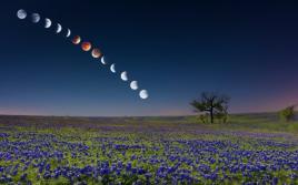 Фаза луны на 11 апреля